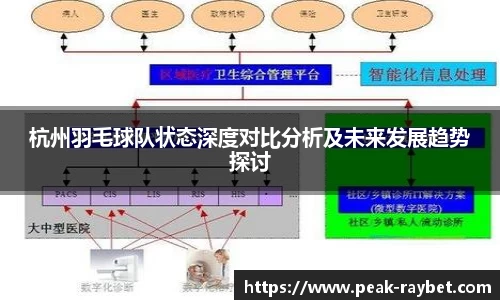 杭州羽毛球队状态深度对比分析及未来发展趋势探讨